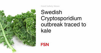 Swedish Cryptosporidium outbreak traced to kale