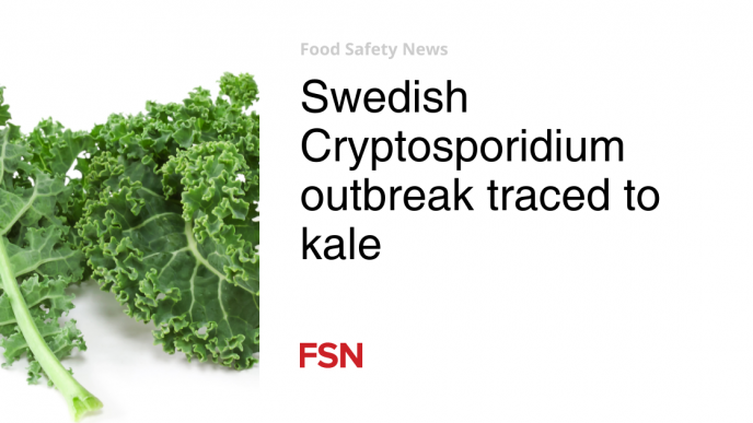 Swedish Cryptosporidium outbreak traced to kale